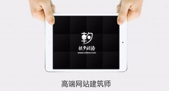 高端品牌網站與系統軟件開發定制解決方案